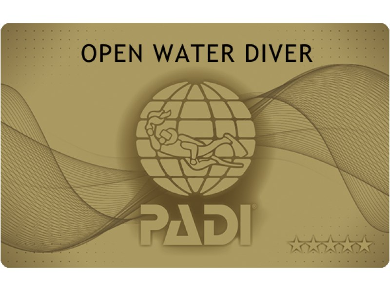 [Shizuoka, Osezaki, Numazu, C-Card Acquisition] Gold Card, shortest 2-day course! PADI Open Water Group Discount Campaign for 4 or more peopleの紹介画像