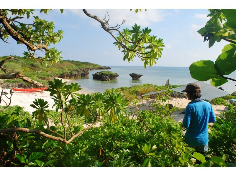[Okinawa, Iriomote Island] Island hopping with a sea kayak [Kayaking]の紹介画像