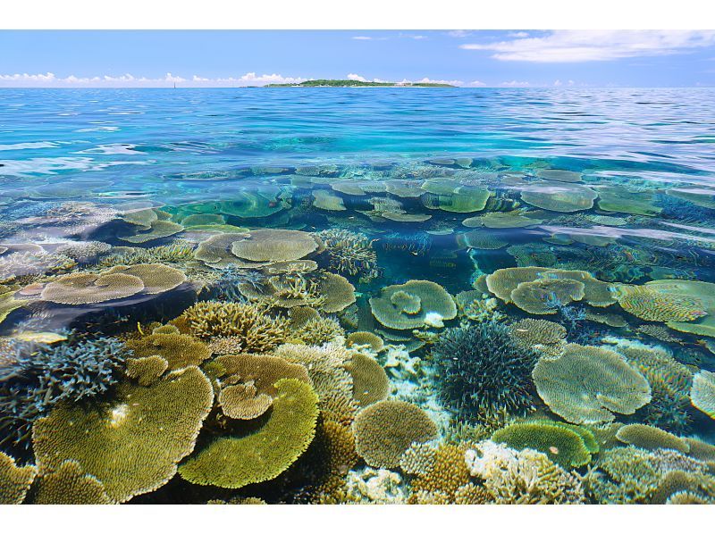 [Okinawa, Iriomote Island] Island hopping with a sea kayak [Kayaking]の紹介画像