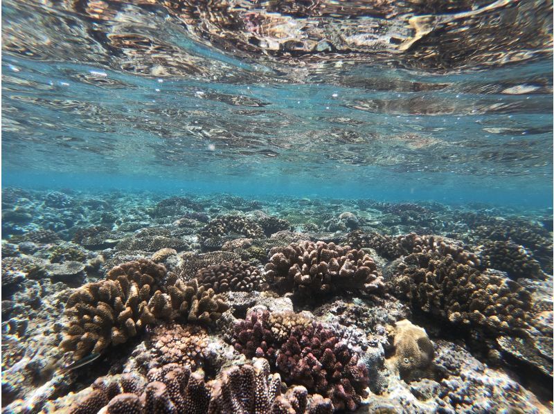 【沖縄・北谷/読谷】新規OPEN！モニタープラン　＜話題のスキンダイビングにチャレンジ！＞の紹介画像