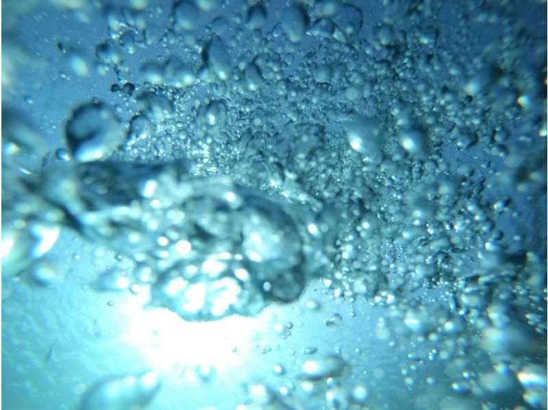 【沖縄・北谷/読谷】新規OPEN！モニタープラン　＜話題のスキンダイビングにチャレンジ！＞の紹介画像