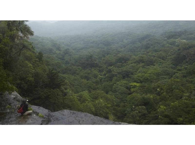 [冲绳·西表岛[Yutun Sandan瀑布]庄严地流淌着【丛林徒步日1】の紹介画像