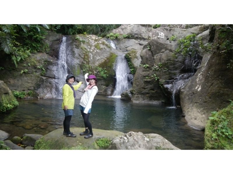 [Okinawa ・ Iriomote Island] Yutun Sandan Waterfall which flows majestically 【Jungle trekking day 1】の紹介画像