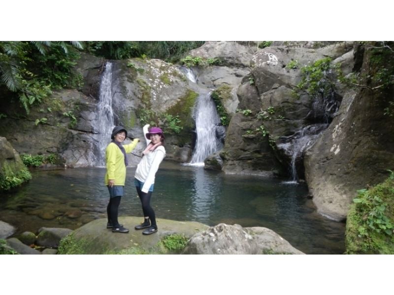 【沖縄・西表島】雄大に流れるユツン三段の滝　【ジャングルトレッキング 1日】の紹介画像