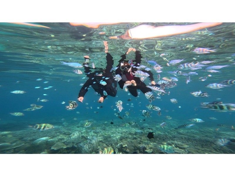 [冲绳本部镇]大猩猩砍浮潜+滑翔伞套餐♪享受大海和天空！ GoPro 照片数据免费服务♪の紹介画像