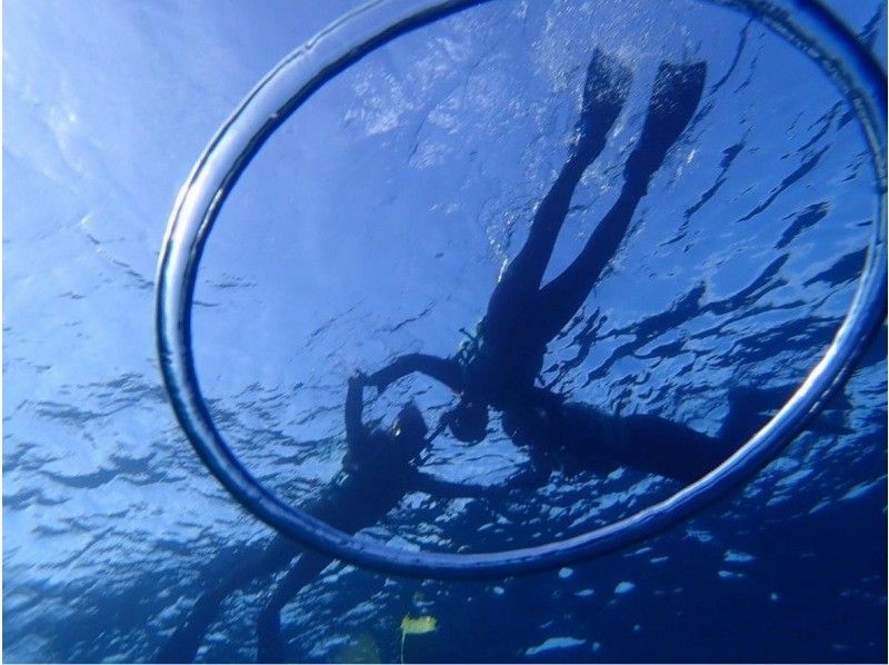 [沖繩本部鎮]大猩猩砍浮潛+滑翔傘套餐♪享受大海和天空！ GoPro 照片數據免費服務♪の紹介画像