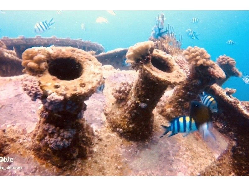 [沖繩/北谷] 就在美國村附近♪充滿珊瑚的浮潛♪（每天4班）●包括登機費，包括拍照●の紹介画像
