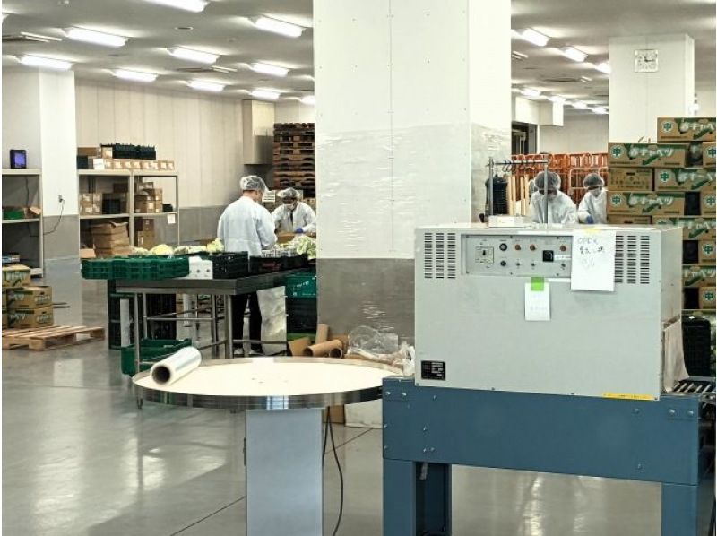 冬の北風運用がチャンス★成田空港ど真ん中！東峰神社で迫力の飛行機＋日本初「ワンストップ輸出拠点機能」新生成田市場見学の紹介画像