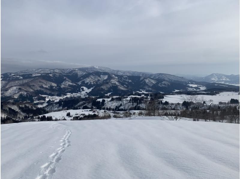 【長野県・JR飯山駅 or 戸狩温泉で集合】半日スノーシューハイキング ｜雪原・ブナ林コース＜少人数ツアー＞の紹介画像