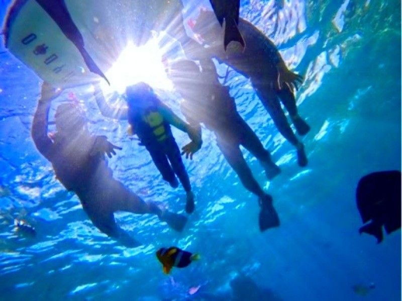 1人1组包场，小朋友也可以安心安全出行♪ 【冲绳恩纳村青之洞窟浮潜】5岁~65岁皆可参加☆ \ 很刺激！ ！海洋、鱼类和洞穴探索/当天可预约！の紹介画像