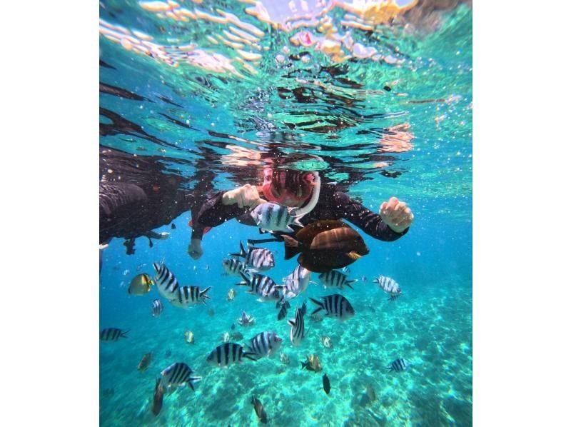 Same-day reservations possible! [Okinawa Onna Village Blue Cave Snorkeling] Let's experience the Okinawan ocean together // Participation is possible from 1 person (^^)の紹介画像