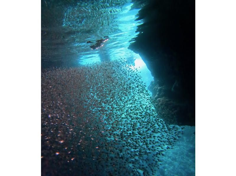 Same-day reservations possible! [Okinawa Onna Village Blue Cave Snorkeling] Let's experience the Okinawan ocean together // Participation is possible from 1 person (^^)の紹介画像