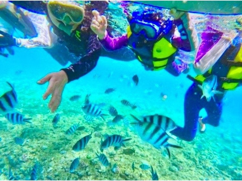 1人1组包场，小朋友也可以安心安全出行♪ 【冲绳恩纳村青之洞窟浮潜】5岁~65岁皆可参加☆ \ 很刺激！ ！海洋、鱼类和洞穴探索/当天可预约！の紹介画像