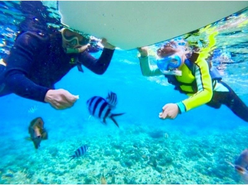 1人1组包场，小朋友也可以安心安全出行♪ 【冲绳恩纳村青之洞窟浮潜】5岁~65岁皆可参加☆ \ 很刺激！ ！海洋、鱼类和洞穴探索/当天可预约！の紹介画像