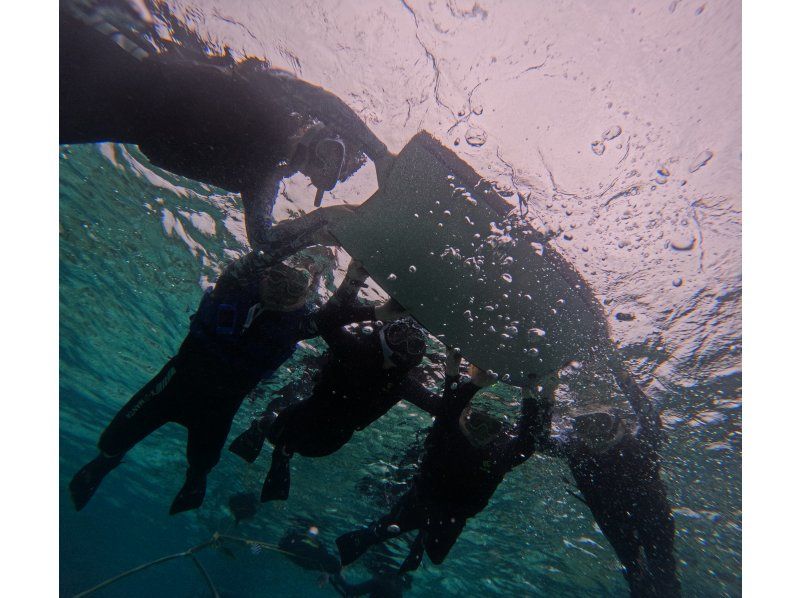 【貸切シュノーケルツアー*沖縄ゴリラチョップ*】美ら海近く♪サンゴ畑とお魚を見よう！お写真無料・餌やり体験付き\(^^)/の紹介画像