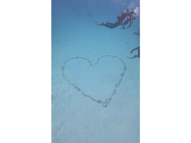 【貸切シュノーケルツアー*沖縄ゴリラチョップ*】美ら海近く♪サンゴ畑とお魚を見よう！お写真無料・餌やり体験付き\(^^)/の紹介画像