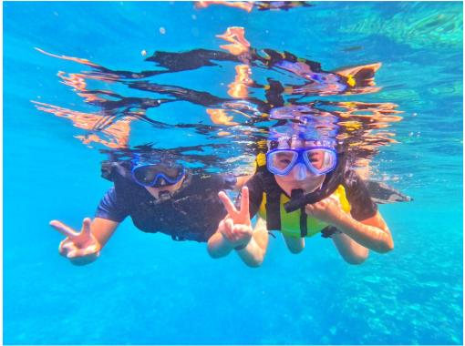 【西表島最大手】年間参加者数No.1*!天然水族館と緑の楽園!トロピカルシュノーケリング&由布島観光【写真データ/備品レンタル無料】 【西表島最大手】年間参加者数No.1*!天然水族館と緑の楽園!トロピカルシュノーケリング&由布島観光【写真データ/備品レンタル無料】