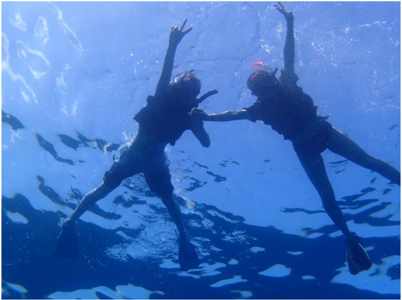 【西表島/1日】天然水族館と緑の楽園！トロピカルシュノーケリング＆由布島観光【写真データ/備品レンタル無料】の紹介画像