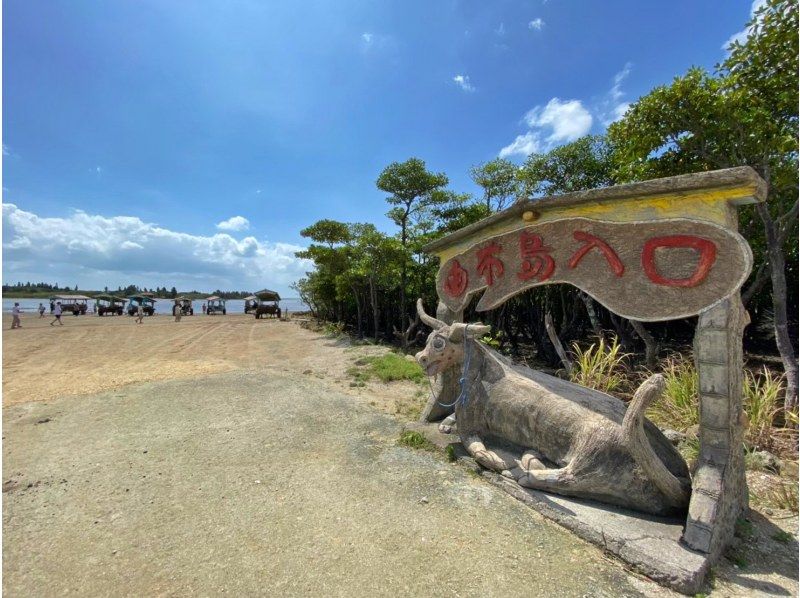 【西表島/1日】天然水族館と緑の楽園！トロピカルシュノーケリング＆由布島観光【写真データ/備品レンタル無料】の紹介画像