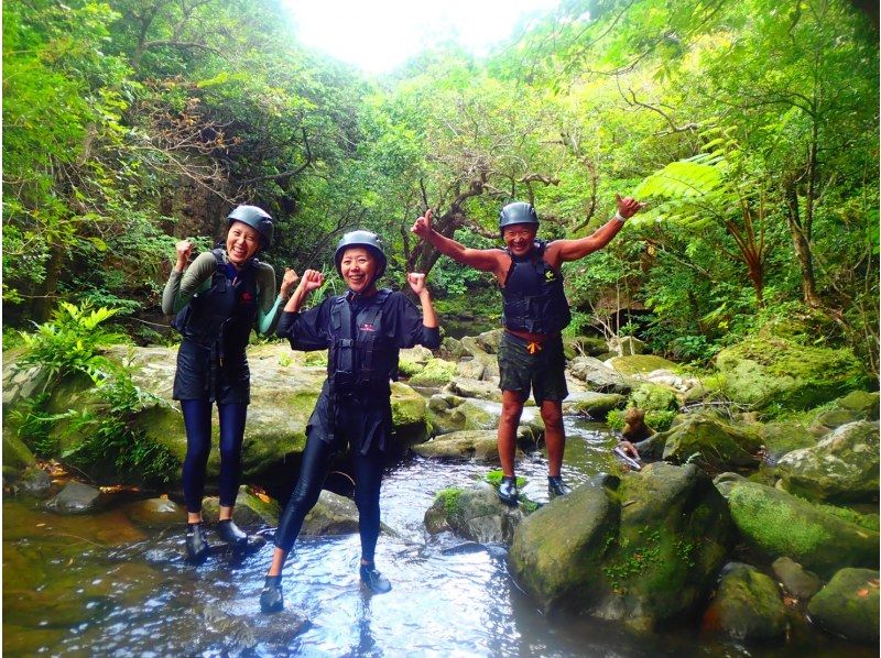 [西表島/1天]標準活動環遊世界遺產！熱帶浮潛與溪降【免費照片資料】の紹介画像