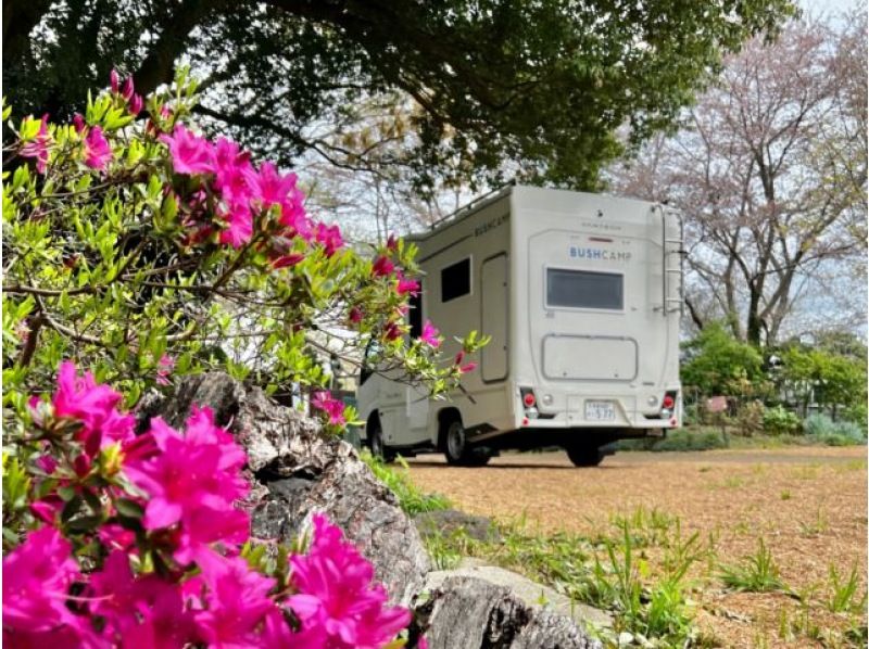 [Ibaraki/Tsukuba] Stay in a camper at Tsukuba Peony Garden, where more than 50,000 peonies are in full bloom in spring (sleep in the car)の紹介画像