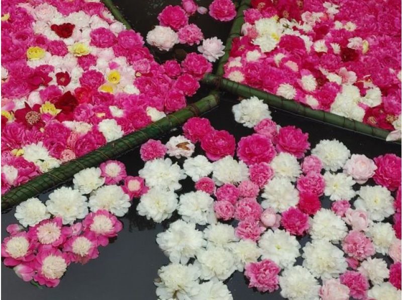 [อิบารากิ/สึคุบะ] ค้างคืนในรถที่ "สวนดอกโบตั๋นสึคุบะ" ซึ่งมีดอกโบตั๋นมากกว่า 50,000 ดอกบานสะพรั่งในฤดูใบไม้ผลิの紹介画像