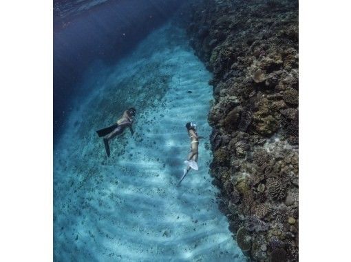 〖沖縄北部離島〗水納島ボートスキンダイビング2本/1組完全貸切/女性フリーダイバーがガイドします!たくさん泳ぎたい方にお勧め 〖沖縄北部離島〗水納島ボートスキンダイビング2本/1組完全貸切/女性フリーダイバーがガイドします!たくさん泳ぎたい方にお勧め