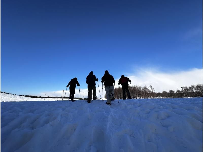 【北海道・札幌スノーシュー】エゾフクロウハント！まるで雪だるま！深雪の森でエゾフクロウに会いに行こう☆8歳からOKの紹介画像