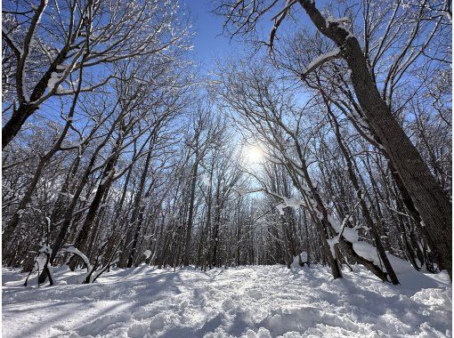 Hokkaido/Sapporo Snowshoe] Ezo Owl Hunt! It's like a snowman