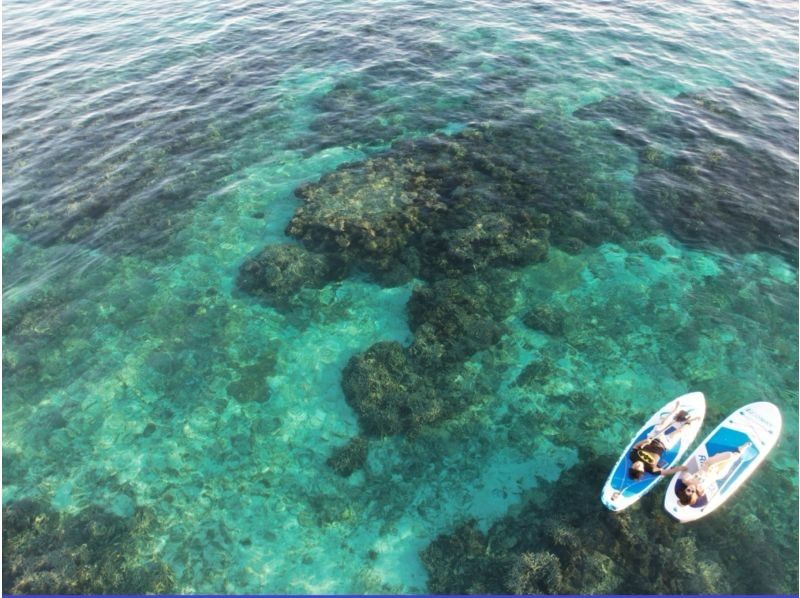 Miyakojima《You can bring your dog! Completely reserved VIP》[Daytime SUP tour] SUP experience in the coveted Miyako blue sea! Free gift of all photo data★の紹介画像