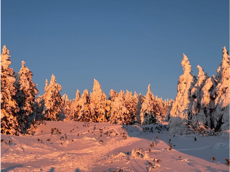 山形かみのやま蔵王ライザワールド　サンセット“夕焼け色の樹氷”鑑賞の紹介画像