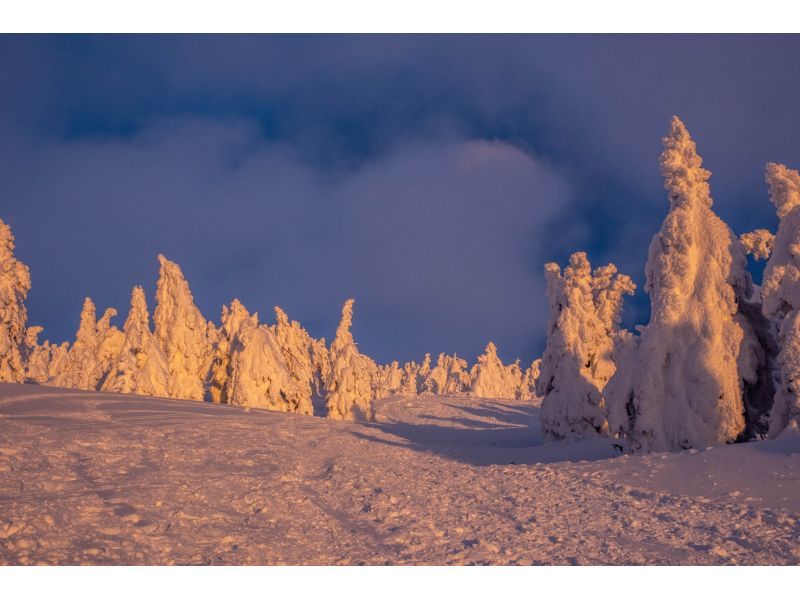 山形かみのやま蔵王ライザワールド　サンセット“夕焼け色の樹氷”鑑賞の紹介画像