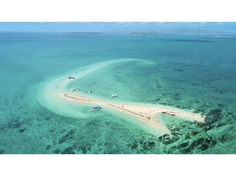 Okinawa/Ishigaki Island I want to meet my dream manta ray! One day snorkeling tour!の紹介画像