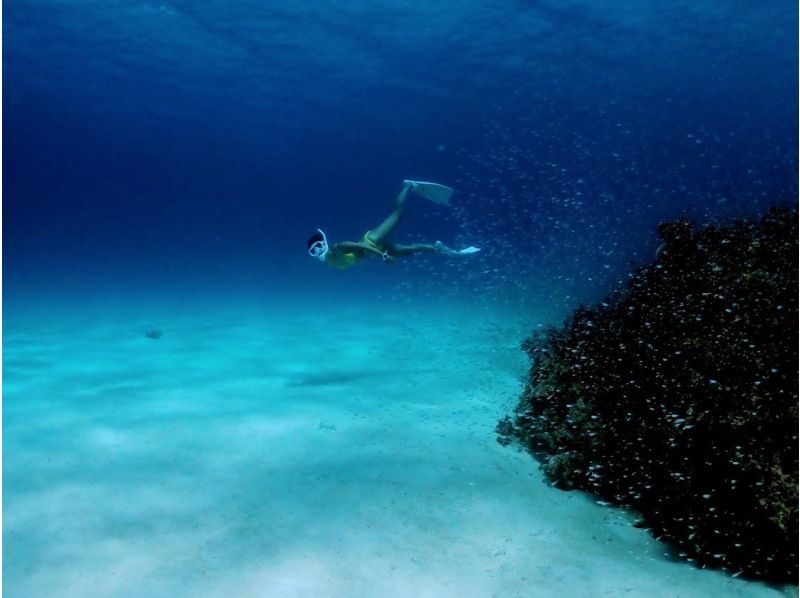 Ishigaki Island [Go by boat, ages 3 and up OK] Highly satisfying snorkeling tour (1 day)の紹介画像