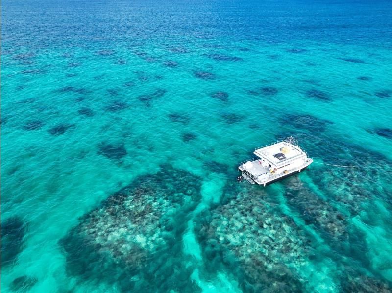 Ishigaki Island [Go by boat, ages 3 and up OK] Highly satisfying snorkeling tour (1 day)の紹介画像