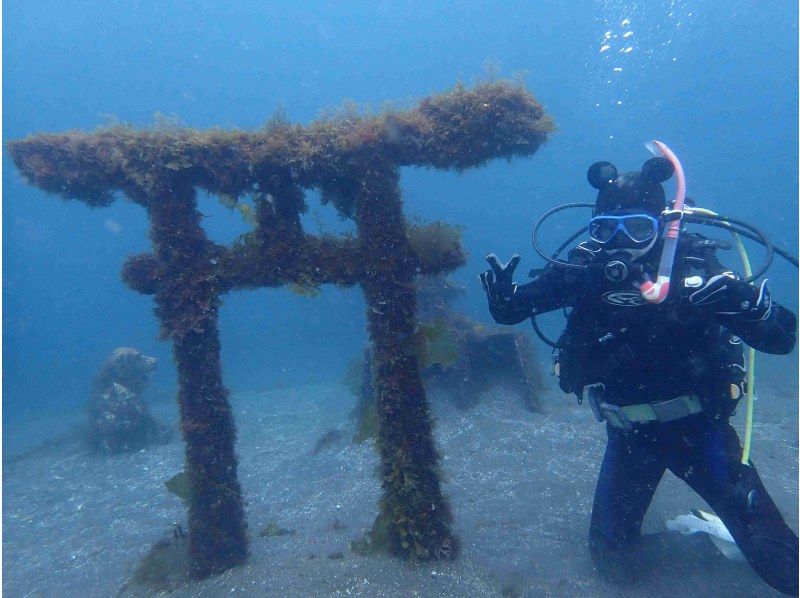 【沼津 伊豆 大瀬崎】大瀬崎2ビーチファンダイビング(ライセンス必須)!沼津駅 伊豆長岡の旅館から送迎あり♪たくさんの海の生き物を堪能の紹介画像