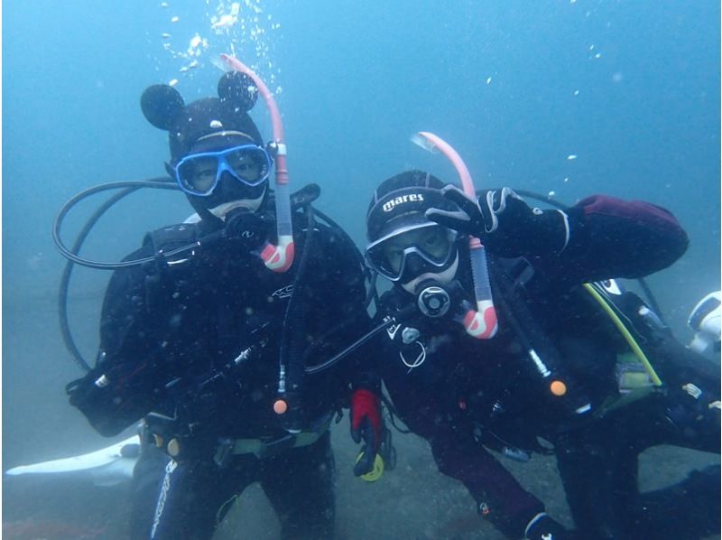 [靜岡站、靜岡市、靜岡大崎]在靜岡站集合！ ！大崎2海灘趣味潛水（需執照）！ ♪ 享受許多海洋生物 ♪ 宏觀 ~ 圍の紹介画像