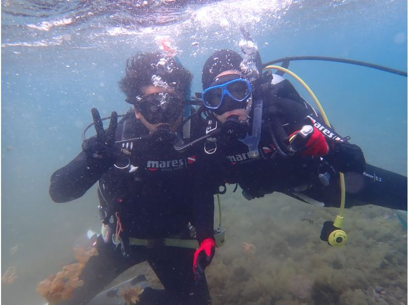 [靜岡站、靜岡市、靜岡大崎]在靜岡站集合！ ！大崎2海灘趣味潛水（需執照）！ ♪ 享受許多海洋生物 ♪ 宏觀 ~ 圍の紹介画像