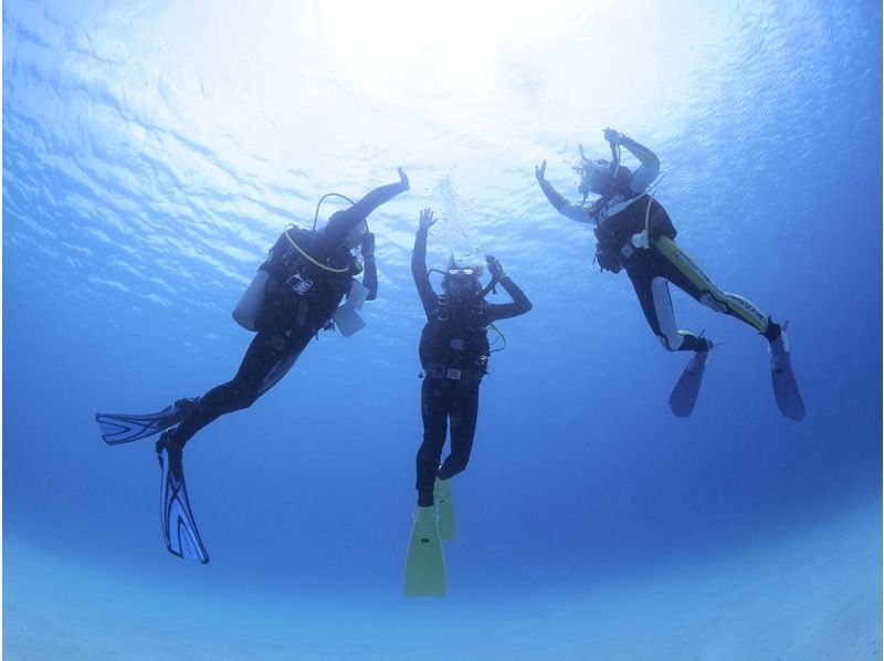 [靜岡站、靜岡市、靜岡大崎]在靜岡站集合！ ！大崎2海灘趣味潛水（需執照）！ ♪ 享受許多海洋生物 ♪ 宏觀 ~ 圍の紹介画像