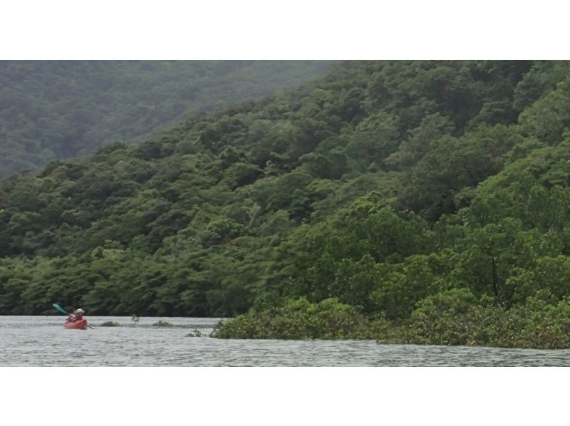 [오키나와이리 오모테 · 仲良川] 滝遊び 만끽 나라의 폭포 1 일 투어 [카약트레킹]の紹介画像