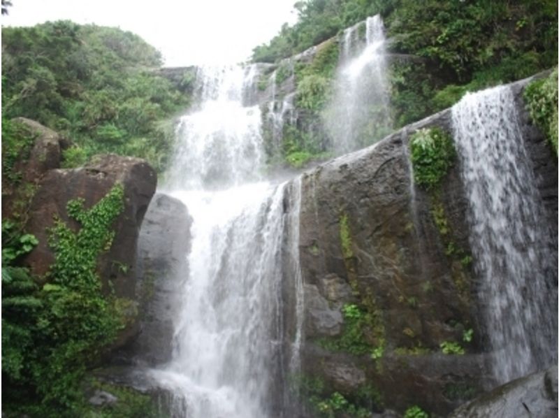 [Okinawa Iriomote Island, Nakara River] Waterfall play enjoy Nara Falls 1-Day tour[Kayak ·trekking】の紹介画像