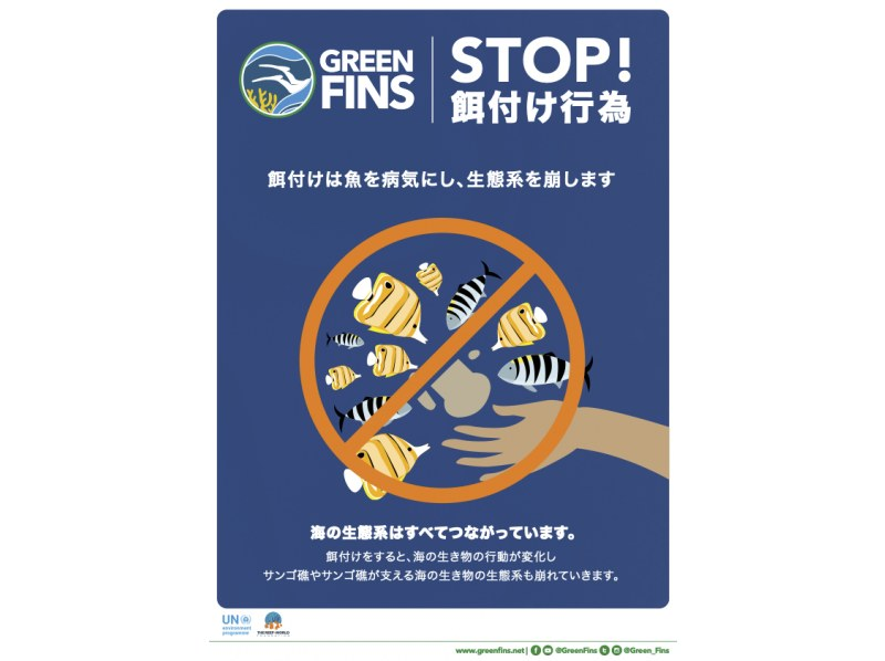 【青の洞窟・恩納村推奨グリーンフィンズ導入ボート体験ダイビング】当ツアーは、魚の餌付けはありません★珊瑚にやさしい日焼け止めプレゼントの紹介画像
