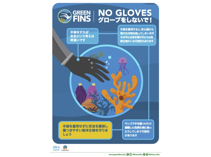 【青の洞窟・恩納村推奨グリーンフィンズ導入ボート体験ダイビング】当ツアーは、魚の餌付けはありません★珊瑚にやさしい日焼け止めプレゼントの紹介画像