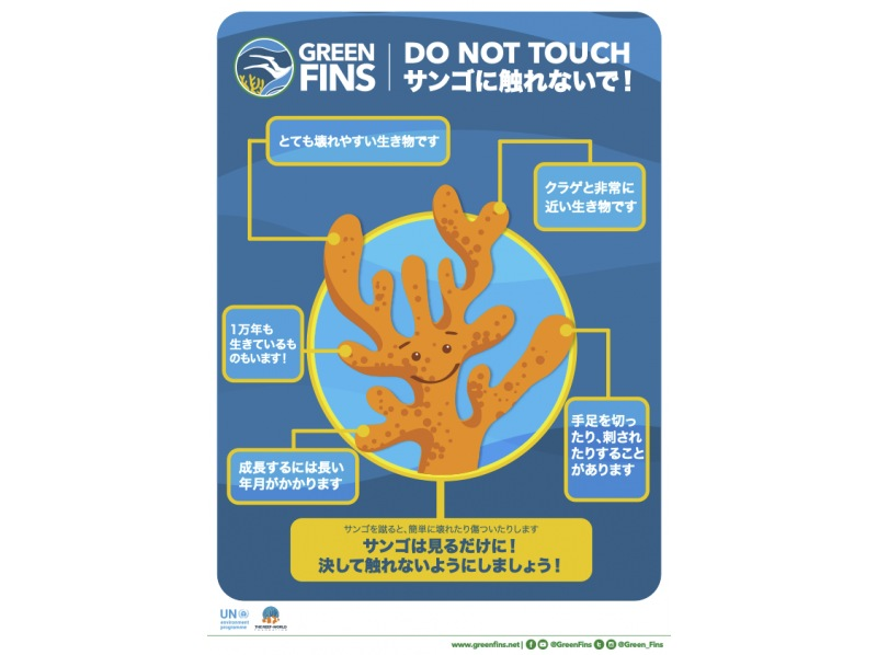 【青の洞窟・自然に配慮したボート体験ダイビング】沖縄・恩納村推奨グリーンフィンズ遵守・魚の餌付けはしません｜1組貸切｜Gopro写真動画付の紹介画像