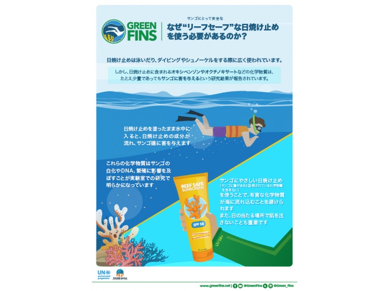 【青の洞窟・恩納村推奨グリーンフィンズ導入ボート体験ダイビング】当ツアーは、魚の餌付けはありません★珊瑚にやさしい日焼け止めプレゼントの紹介画像