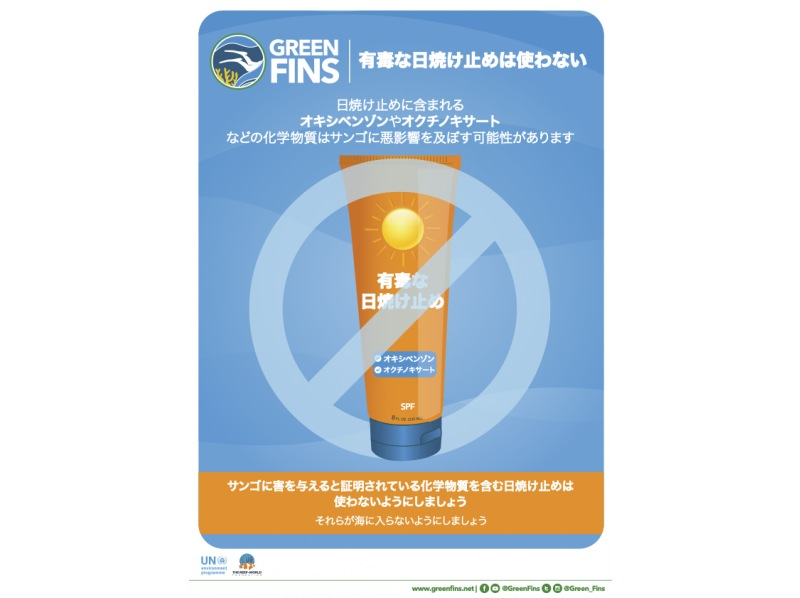 【青の洞窟・自然に配慮したボート体験ダイビング】沖縄・恩納村推奨グリーンフィンズ遵守・魚の餌付けはしません｜1組貸切｜Gopro写真動画付の紹介画像