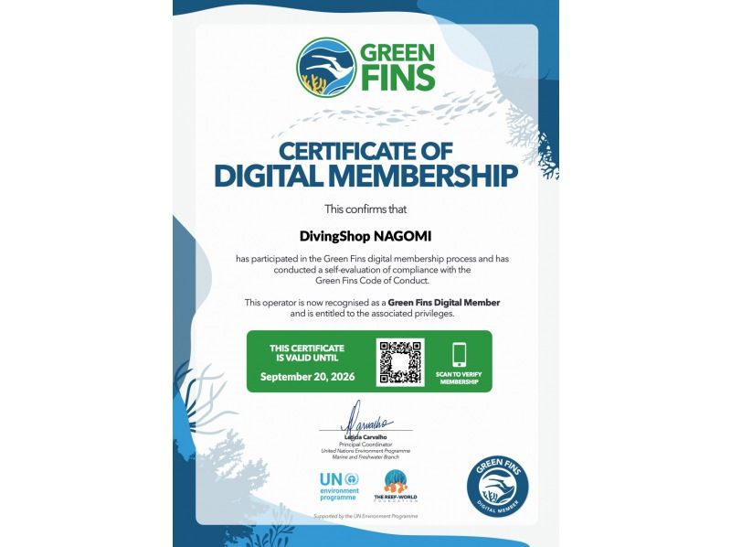 【青の洞窟・自然に配慮したボート体験ダイビング】沖縄・恩納村推奨グリーンフィンズ遵守・魚の餌付けはしません｜1組貸切｜Gopro写真動画付の紹介画像