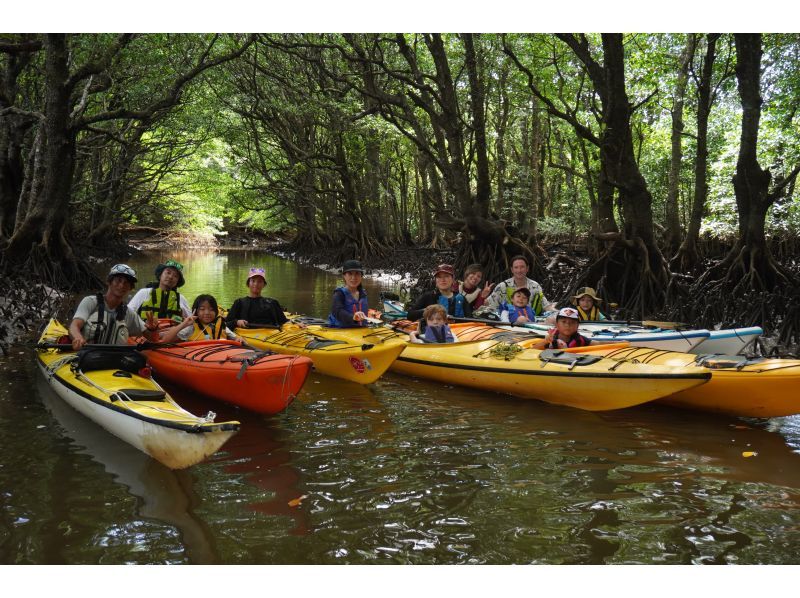 [Okinawa, Iriomote Island] Geta Falls & Mangrove Kayaking - Enjoy the mountains and rivers! 1-day tour [Kayaking & Trekking]の紹介画像