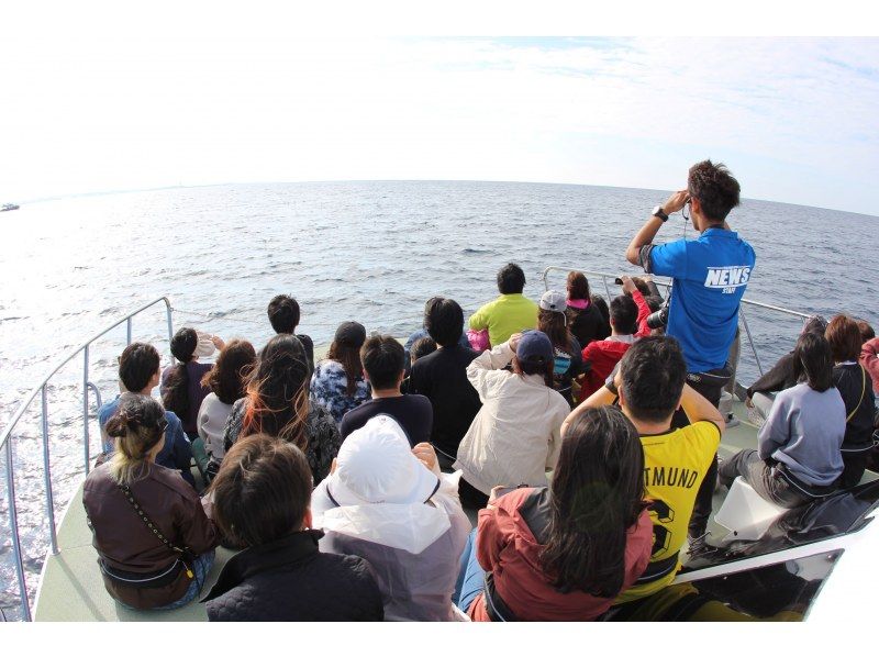 [Departing from Naha] Whale watching♪ Guaranteed one seat per person! All seats are forward facing and comfortable☆ Free photo gift, free city transfers, free for children 0-2の紹介画像