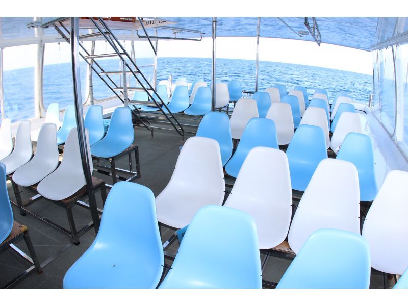 [Departing from Naha] Whale watching♪ Guaranteed one seat per person! All seats are forward facing and comfortable☆ Free photo gift, free city transfers, free for children 0-2の紹介画像